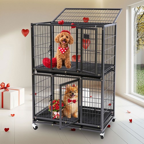 Two tiers puppy - two, crates