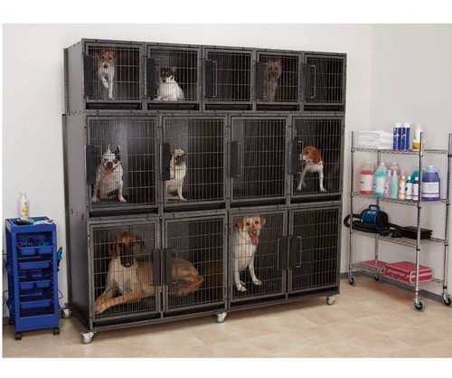 Modular dog and animal kennel - modular,
