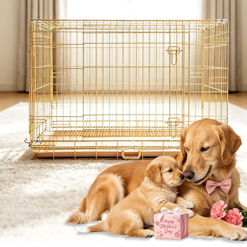 Pet gold foldable dog - gold,