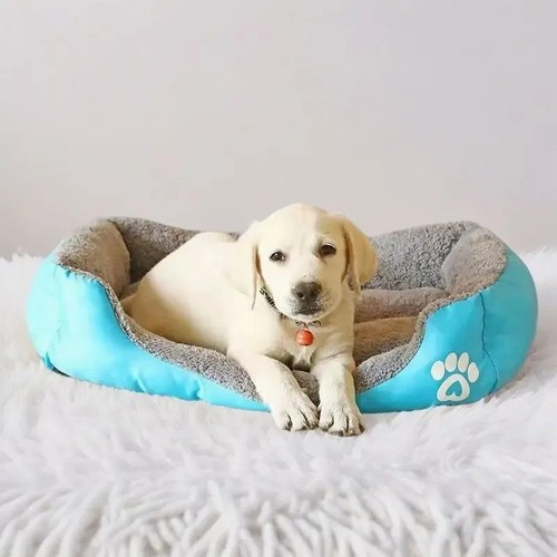 Classical pet mat - mat, fashion