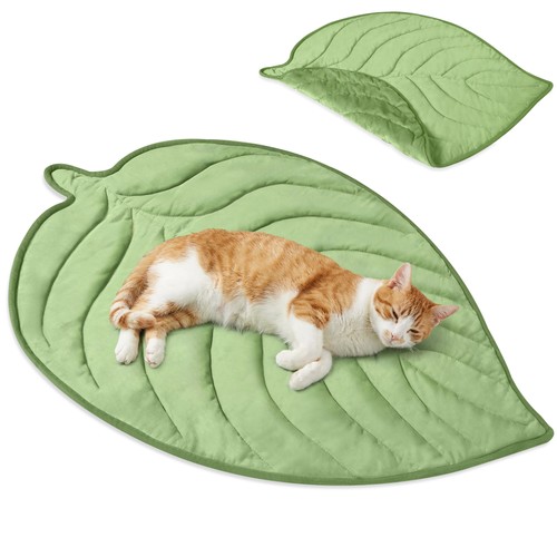 Pet dog cat - dog, cooling