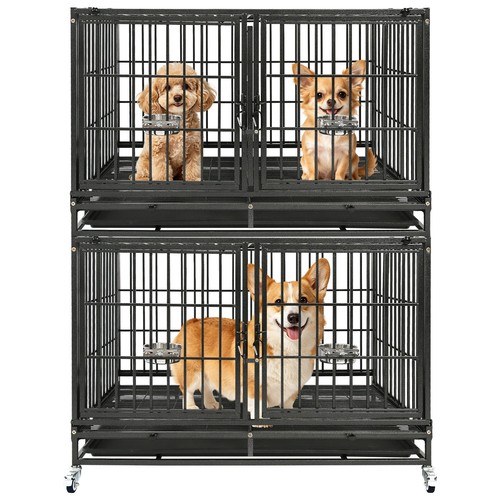 Homey pet two - pet, 43"