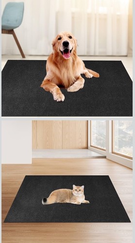 Under dog crate and - dog, kennel