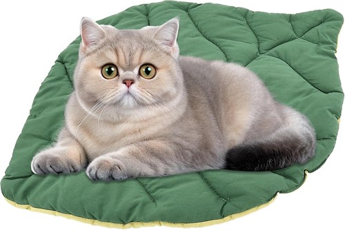 Kennel chair sofa cats mat - kennel,, sofa,