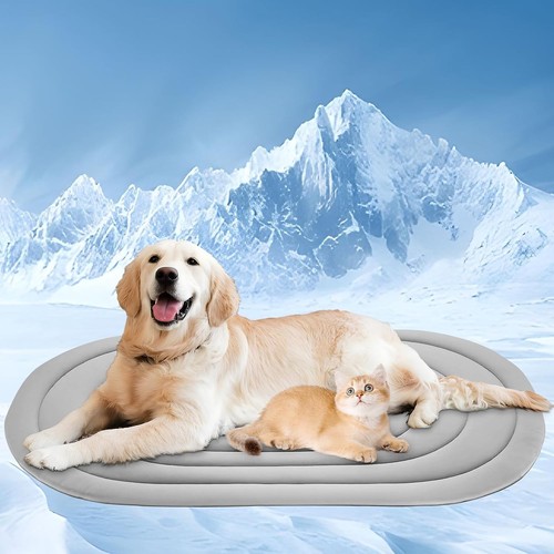 Ideal for kennel sofa floor - ideal,