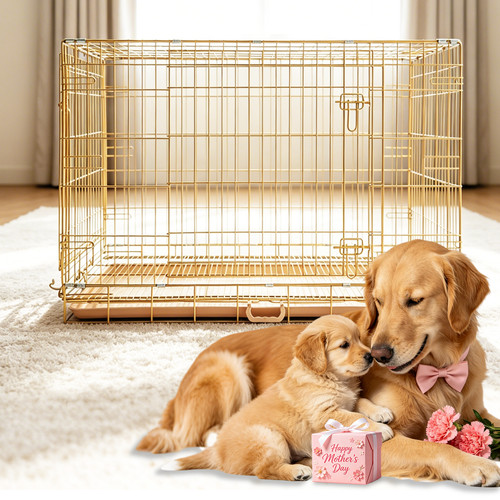 Homey pet gold foldable - pet,